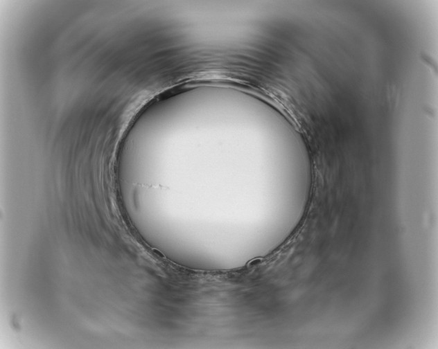 X0000096490289200802071949