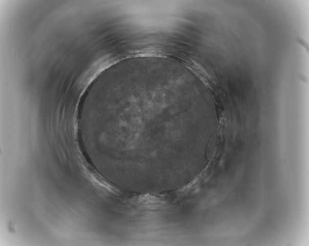 X0000096490290200802071949