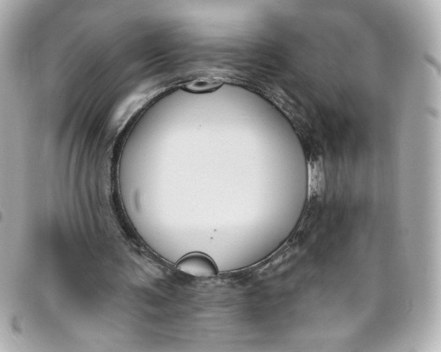 X0000096490291200802071949