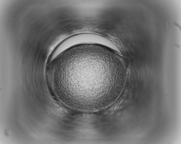 X0000096490292200802071949