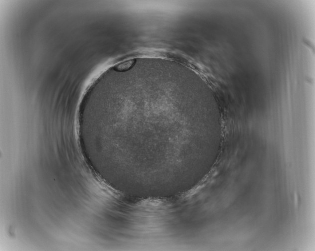 X0000096490294200802071949