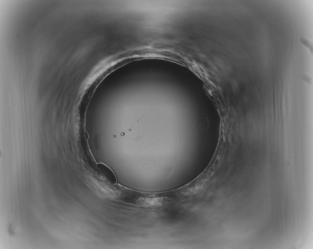 X0000096490295200802071949