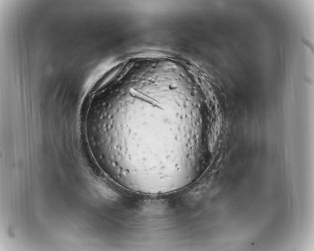 X0000096490296200802071949