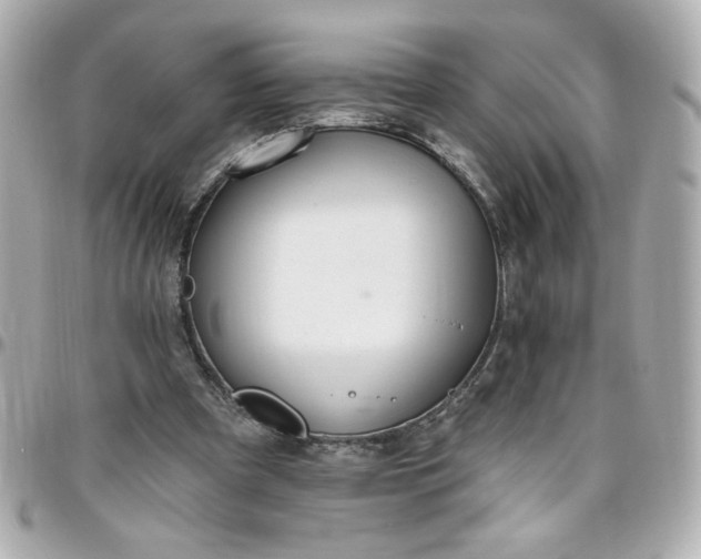 X0000096490297200802071949