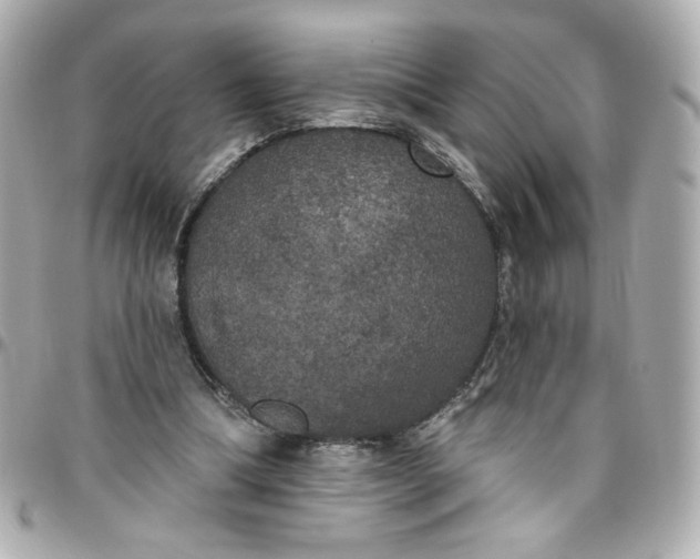 X0000096490298200802071949