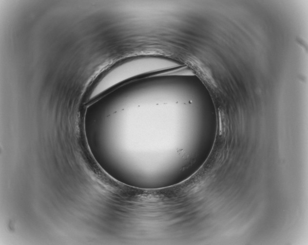 X0000096490300200802071949