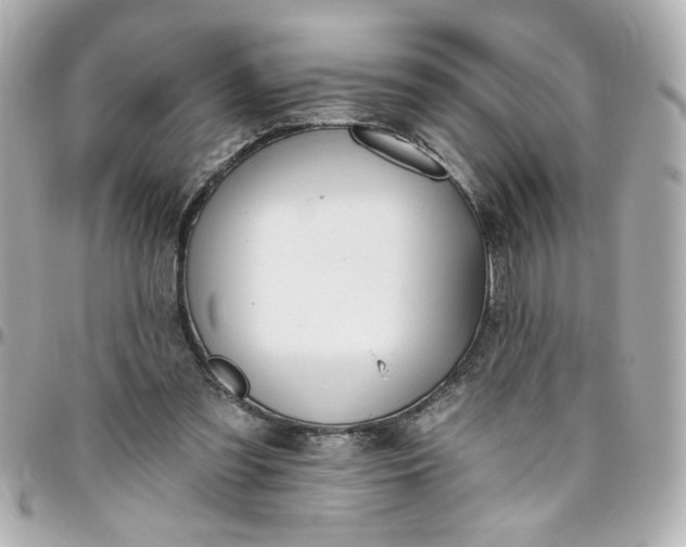 X0000096490301200802071949