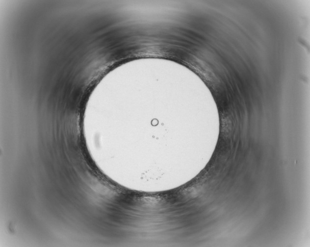 X0000096490302200802071949