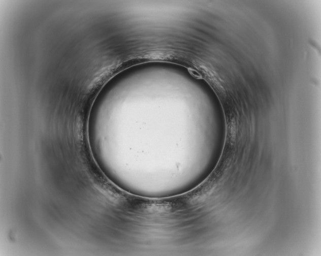 X0000096490303200802071949