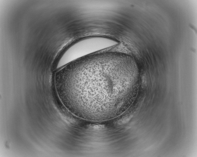 X0000096490304200802071949