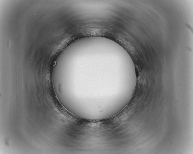 X0000096490306200802071948