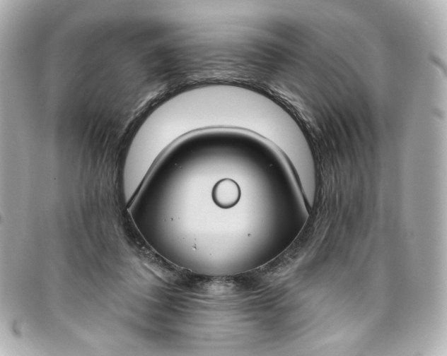 X0000096490308200802071948