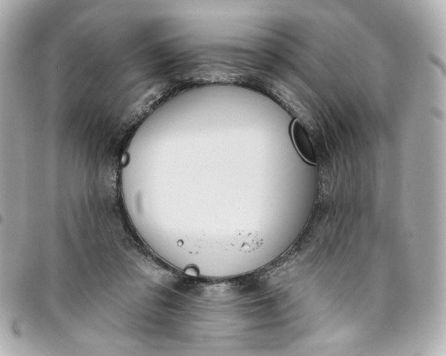 X0000096490309200802071948