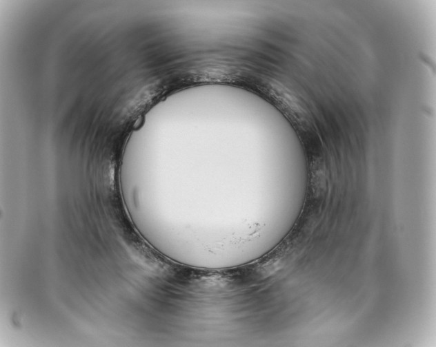 X0000096490310200802071948