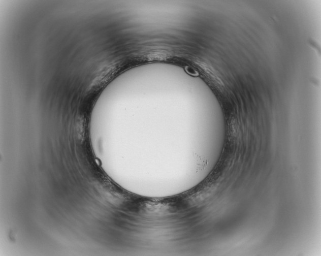 X0000096490311200802071948