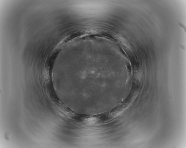 X0000096490312200802071948