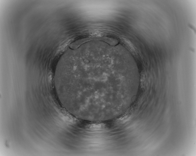 X0000096490314200802071948