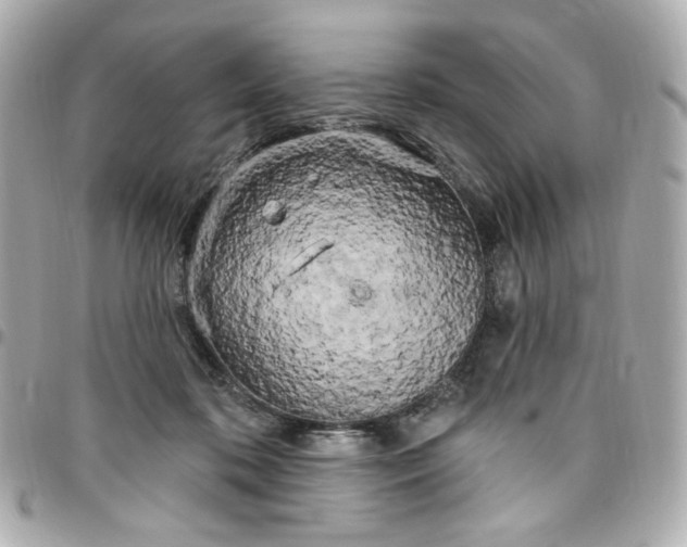 X0000096490316200802071948