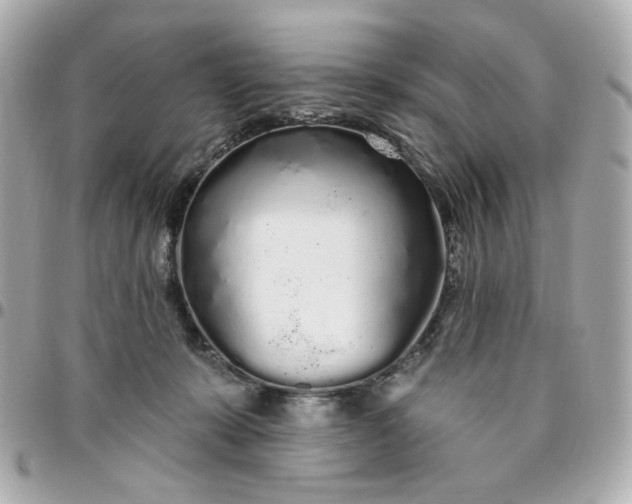 X0000096490319200802071948