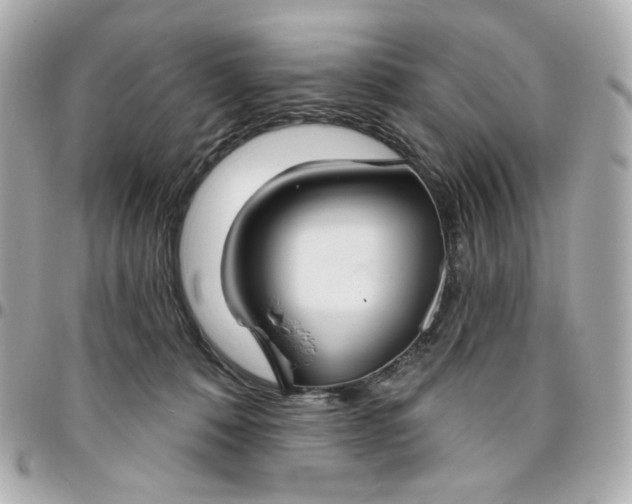 X0000096490320200802071948