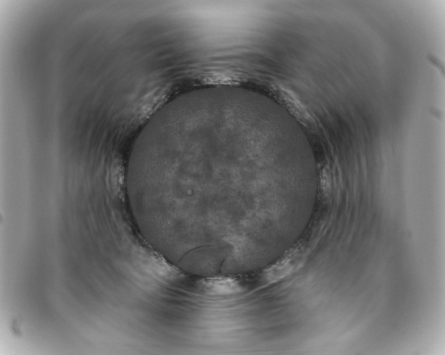 X0000096490322200802071948