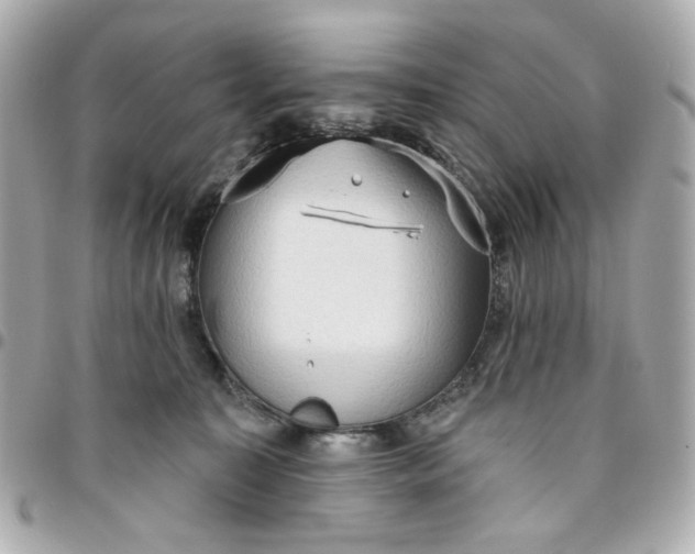 X0000096490323200802071948