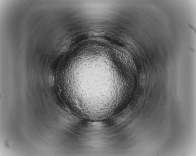 X0000096490324200802071948