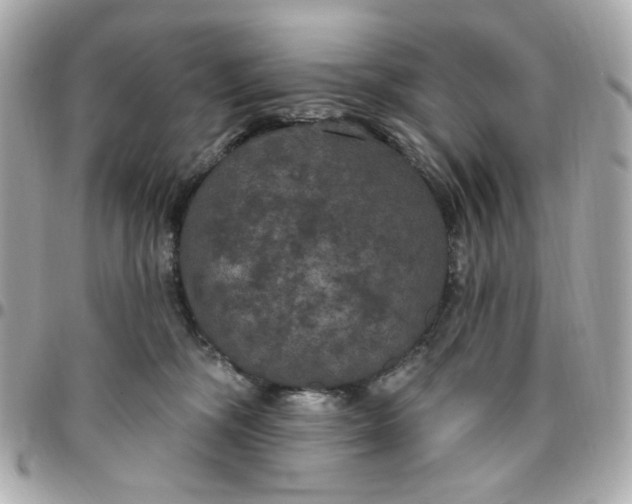 X0000096490326200802071948