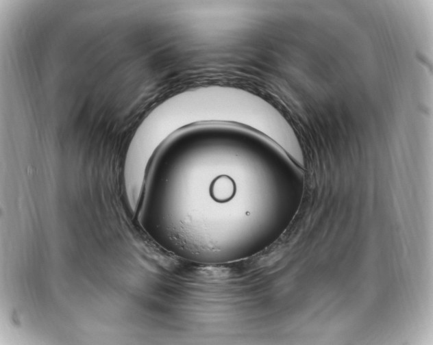 X0000096490328200802071948