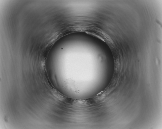 X0000096490329200802071948