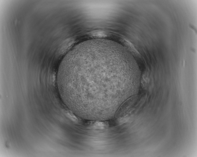 X0000096490330200802071948