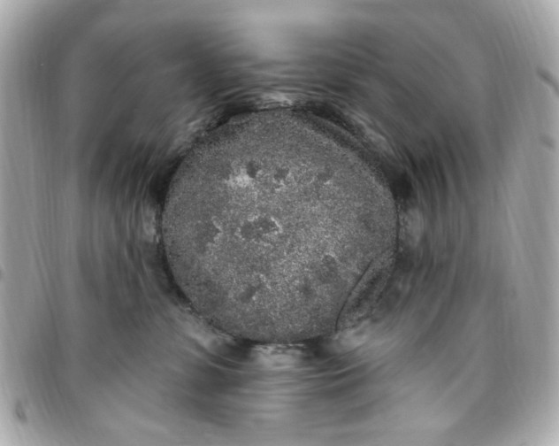 X0000096490331200802071948