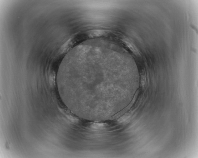 X0000096490332200802071948