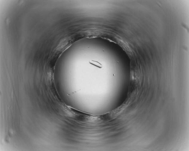 X0000096490333200802071948