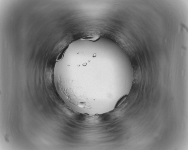 X0000096490334200802071948