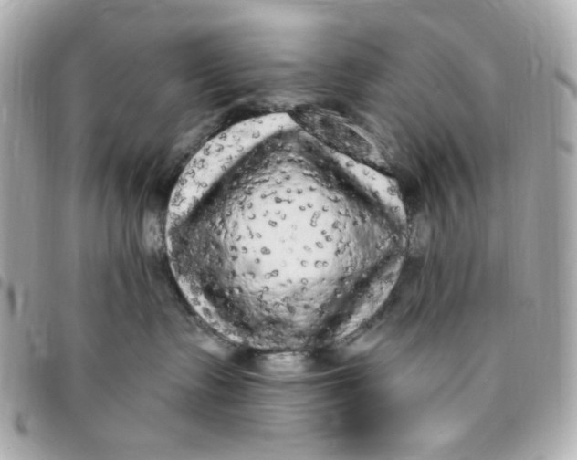 X0000096490335200802071948