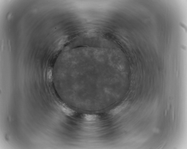 X0000096490336200802071948