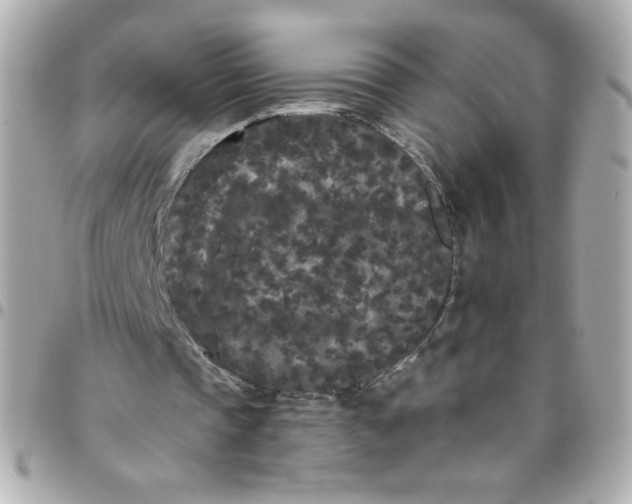 X0000096490337200802071947