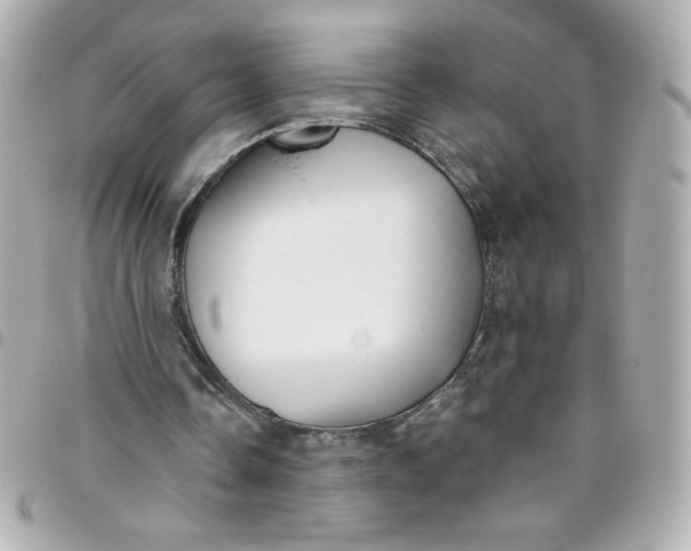 X0000096490338200802071947