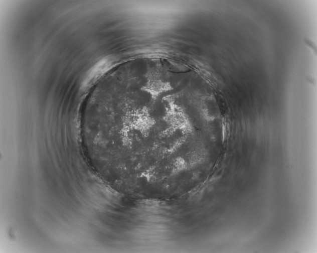 X0000096490339200802071947