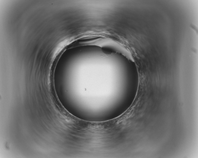 X0000096490340200802071947