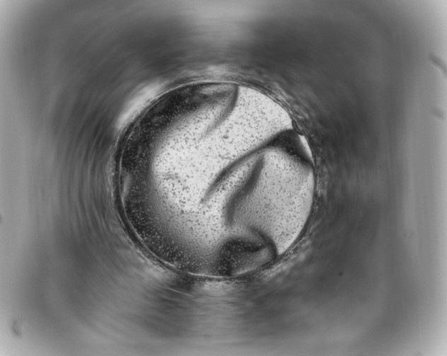 X0000096490341200802071947