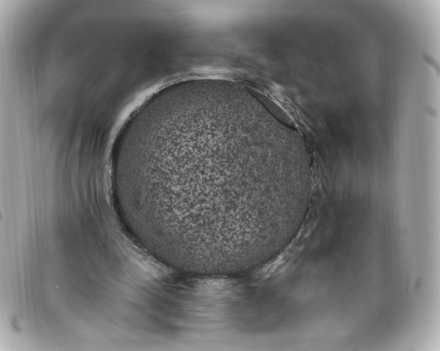 X0000096490342200802071947