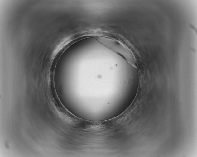 X0000096490344200802071947