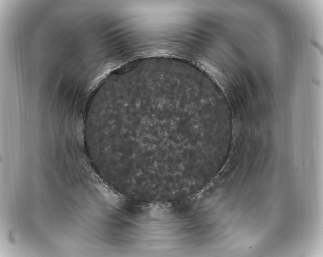 X0000096490345200802071947