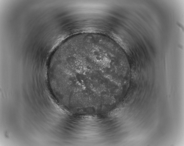 X0000096490347200802071947