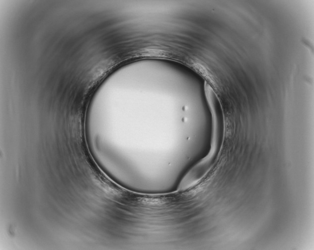 X0000096490349200802071947