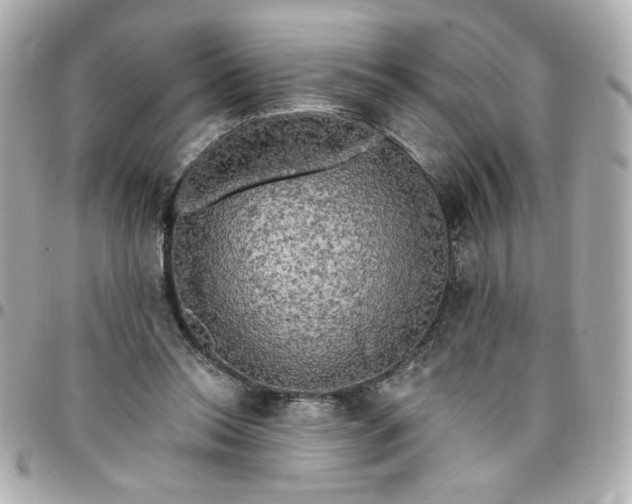 X0000096490350200802071947