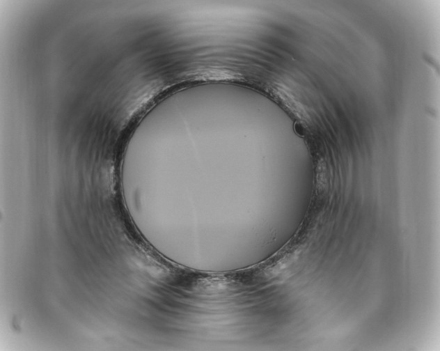 X0000096490351200802071947