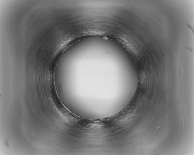 X0000096490352200802071947